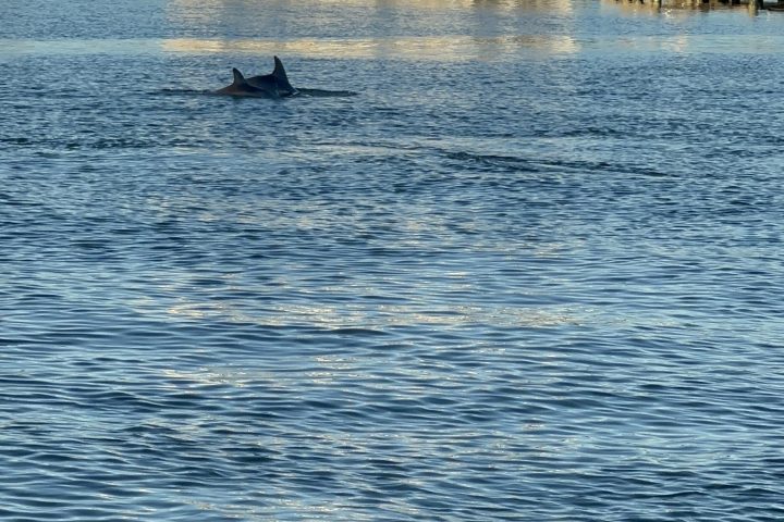 a small boat in a large body of water